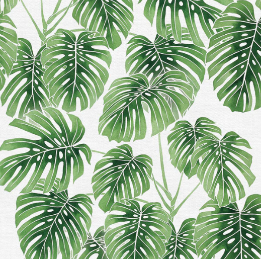 Paintbrush Studio Fabrics Modern Botanicals by Living Pattern - Monstera - 12021480