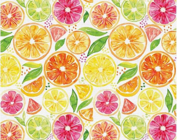 Paintbrush Studio Fabrics Sweet and Sour - Citrus - White - 12022610 - Sewjersey.com